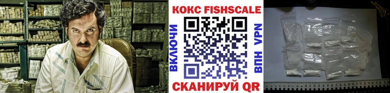 КОКАИН FishScale  купить наркотик  Славгород 