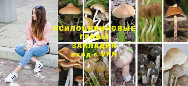 прущая мука Балабаново
