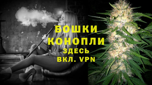 трава Медвежьегорск