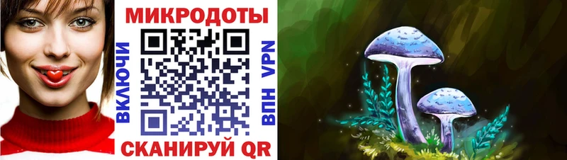 OMG ссылка  Славгород  Псилоцибиновые грибы прущие грибы 