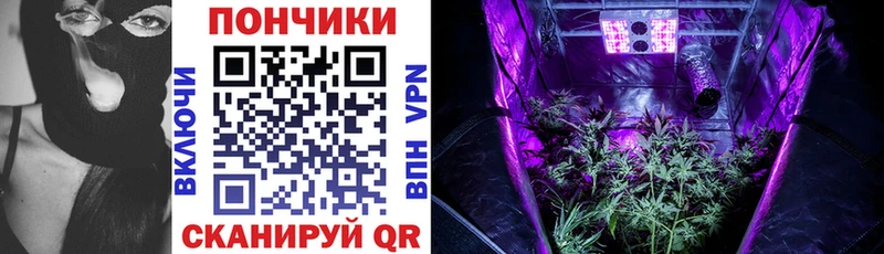 купить наркотики сайты  Славгород  МАРИХУАНА Bruce Banner 